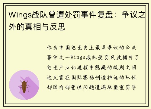 Wings战队曾遭处罚事件复盘：争议之外的真相与反思